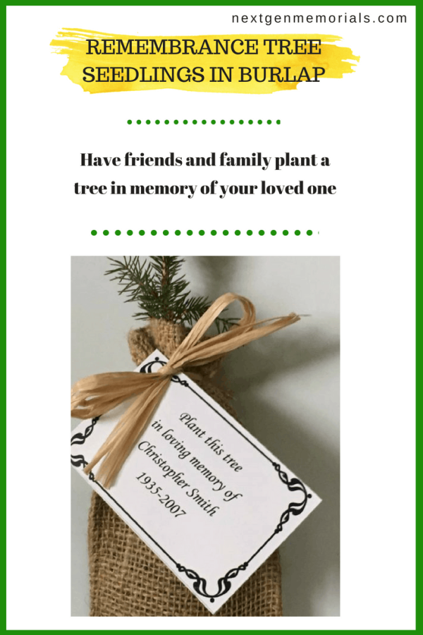 Remembrance tree seedlings in burlap