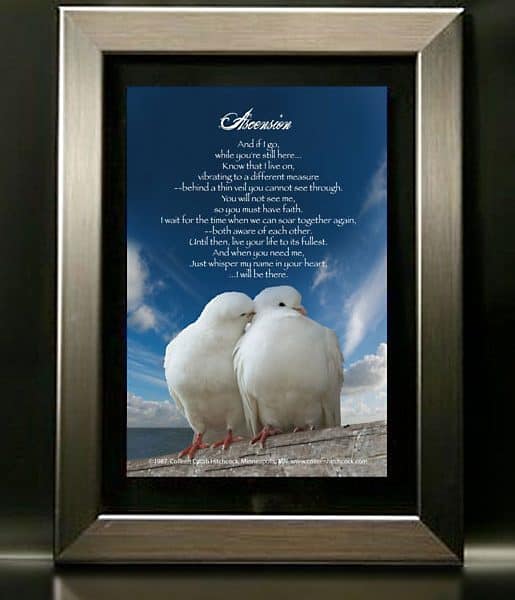 Birds with Nickel Frame