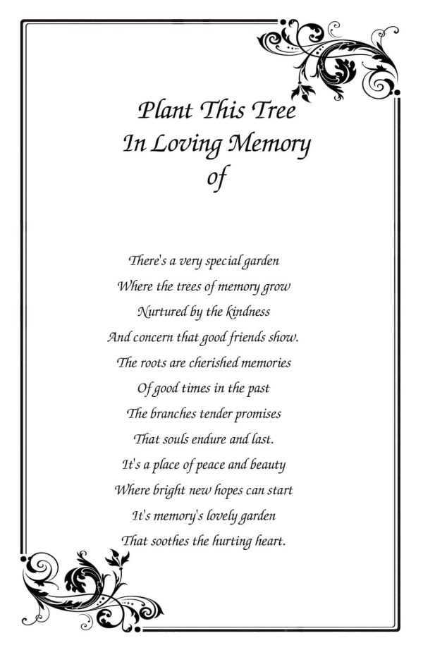 Memorial trees, detail of insert. Name will be filled in.