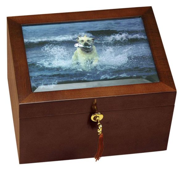 Large Size Dog Urn and Memory Box