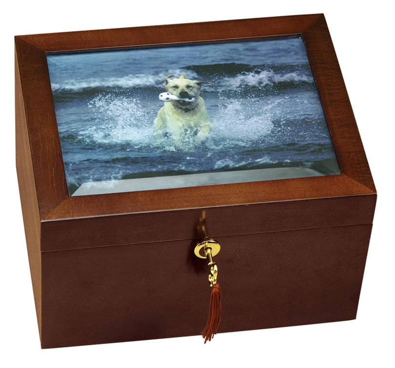 Large Size Dog Urn and Memory Box