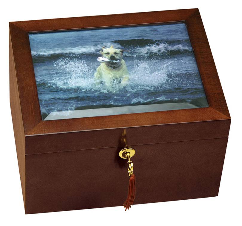 pet urn for large dog