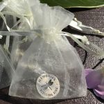 Dragonfly Memorial Coin in Organza Pouch