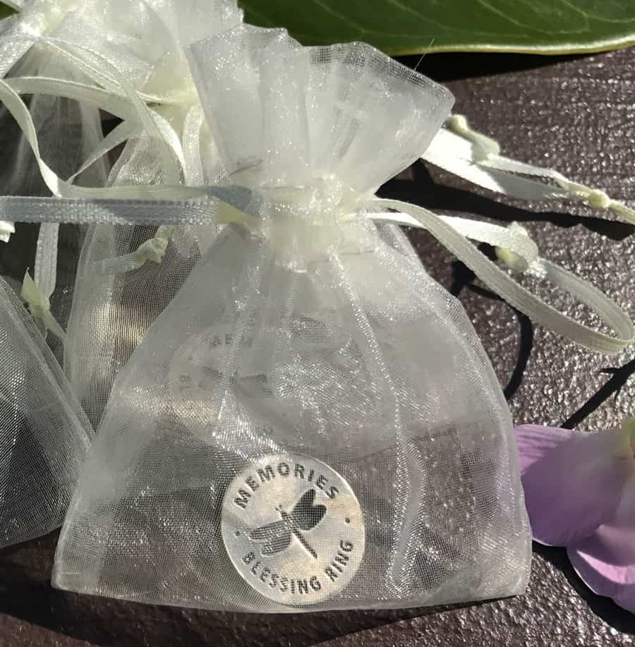 Dragonfly Memorial Coin in Organza Pouch